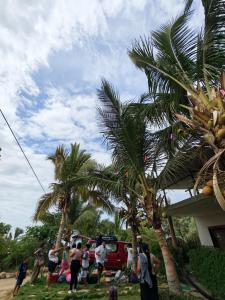 a group of people standing next to palm trees at Hospedaje Máncora in Máncora +10 photos