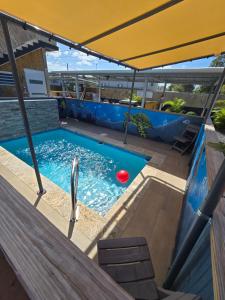 a dolphin in a pool with a red ball at Villa Mi casita el paraiso costero in Aguada