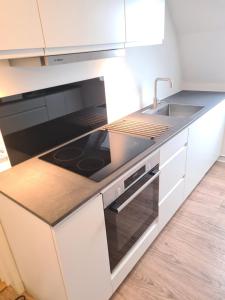 eine Küche mit Herd und Spüle in der Unterkunft Suite 3 in Frederikshavn