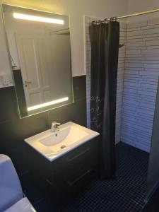 ein Badezimmer mit Waschbecken und Dusche mit Spiegel in der Unterkunft Suite 3 in Frederikshavn