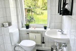 a bathroom with a toilet and a sink and a window at N&N Apartments - Studio mit Netflix - Workstation im Zentrum in Schwerin