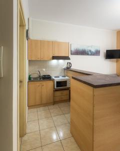 a kitchen with wooden cabinets and a counter top at Central Cozy Apartment in Sparta +7 photos