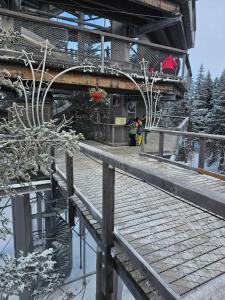 a building with a wooden walkway next to a body of water at Cosy Rogla appartment 108 in Zreče