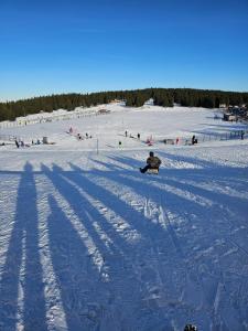a person riding a snowboard down a snow covered slope at Cosy Rogla appartment 108 in Zreče +5 photos