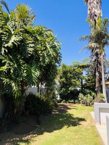 a garden with palm trees and a house at Zindiza Guesthouse in eMalahleni +3 photos