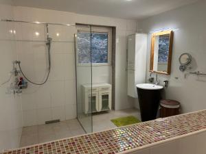 a bathroom with a shower and a sink at Garten Wohnung in Singen