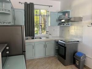 a kitchen with blue cabinets and a sink and a window at TecTec 2 Appartment 1 in Pereybere