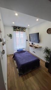 a bedroom with a bed and a flat screen tv at L'écrin de Nature T2 Centre Historique in Auxerre