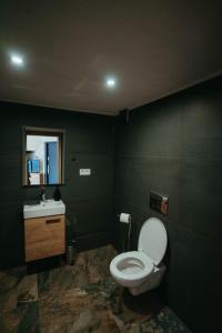 a bathroom with a toilet and a sink at Glamping Pod Hradom súkromné jacuzzi a sauna in Bardejov +21 photos