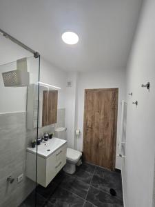 a bathroom with a toilet and a sink and a shower at Merci Apartament 2,0 in Sibiu +30 photos