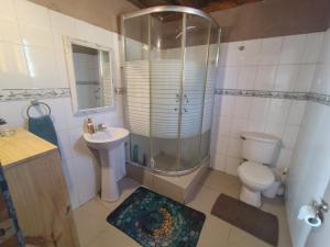 a bathroom with a shower and a toilet and a sink at Casa La Virgen in Burro Muerto +51 photos