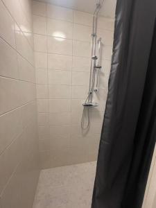 a shower with a shower curtain in a bathroom at Laplanders room 4 in Kiruna