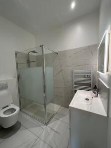 a bathroom with a shower and a toilet and a sink at Maison de ville in Libourne