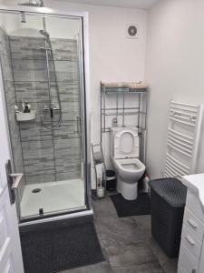 a bathroom with a shower and a toilet at PaulAngela in Avignon +8 photos