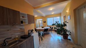 a kitchen with a sink and a table in it at Erika Panzió in Ditrău