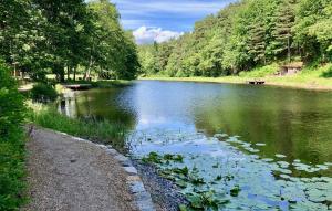 a river with lilies in the water and trees at Kalveld aparment 2 in Lillesand