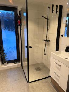 a bathroom with a shower with a glass door at Lyngen Alps Inn in Lyngseidet +2 photos