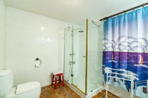 a bathroom with a shower and a toilet at Casa Miradouro do Pesqueiro in Feteira Grande +14 photos