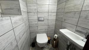 a bathroom with a white toilet and a sink at Chaloupka za mostem Plavy - Jizerské hory in Plavy +17 photos