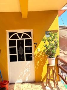 a front door of a house with a potted plant at POSADA CENTRO MAZUNTE RINCONCITo in Mazunte