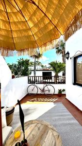 a bird standing on a patio with a table at Sabinas place in Corralejo