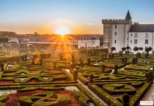 a view of a garden in front of a castle at Ma première étoile in Joué-lès-Tours