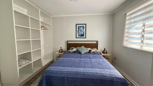 a bedroom with a bed and shelves and a window at Green House, by Pewma Apart Hotel in Diguillín