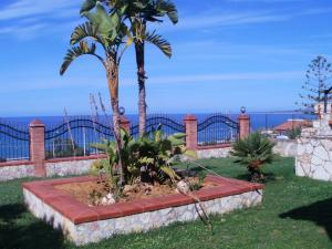 eine Palme in einem Garten vor einem Zaun in der Unterkunft Villa Delia in Balestrate