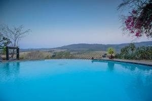 una gran piscina azul con un viñedo en el fondo en Abangane Guest Lodge, en Hazyview