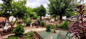 a backyard with a garden with trees and a pond at Casa Uchita in La Falda