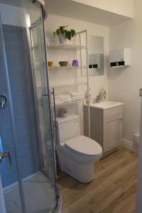 a bathroom with a toilet and a shower and a sink at Auberge Le Treehouse in Montreal