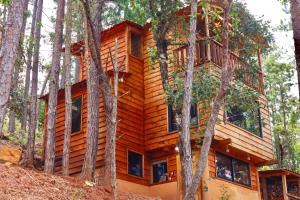 a log cabin in the trees at Casas Calenda in San Mateo Río Hondo