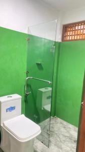 a green bathroom with a toilet and a shower at Bliss Cottage in Gampola