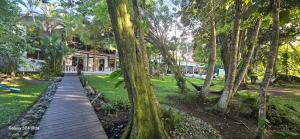 a wooden walkway through a park with trees at Hotel Cahuita Inn in Cahuita