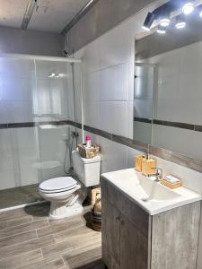 a bathroom with a toilet and a sink and a mirror at Chacra Piriápolis in Piriápolis +6 photos