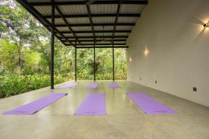 a group of purple mats in a room with trees at The Sevana in Talalla South