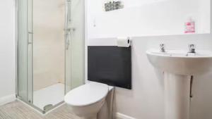 a bathroom with a toilet and a sink and a shower at ApartmentA in Derry Londonderry +22 photos