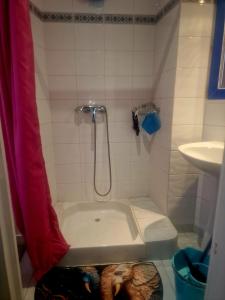 a small bathroom with a shower and a sink at Appart Catalina La Mexicaine in Ucciani