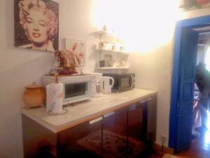 a kitchen with a counter with a microwave and a microwave at Appart Catalina La Mexicaine in Ucciani