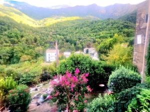 a view of a garden with mountains in the background at Appart Catalina La Mexicaine in Ucciani +6 photos