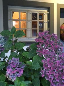 un cespuglio di fiori viola di fronte a una casa di Landhausvilla Strittberg 7 a Höchenschwand
