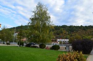 Fotografie z fotogalerie ubytování Bon Bon Struma Hotel v destinaci Boboshevo + 23 fotografií