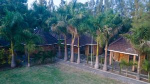 a house with palm trees in front of it at Lorateng' Resort - Rusinga in Mbita