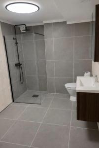 a bathroom with a shower and a toilet at Gardermoen Airport, 5Min in Sand +6 photos