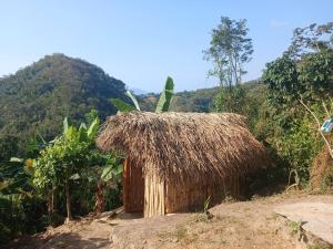 a small hut with a straw roof on a hill at Private jungle accommodation with waterfall in Minca