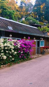 a house with purple and white flowers in front of it at mae oui next to the water&แม่อุ๊ยที่พักติดน้ำ in Ban Pok Nai