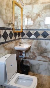 a bathroom with a toilet and a sink at Longwood Resorts in Kotagiri +71 photos