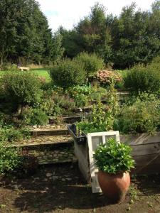 a garden with a pot of plants and stairs at Country B&B Horsens in Horsens