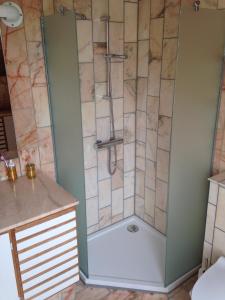 a shower in a bathroom with a toilet and a sink at Country B&B Horsens in Horsens