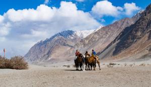 Gallery image of The Eden Resort Nubra in Hundar
